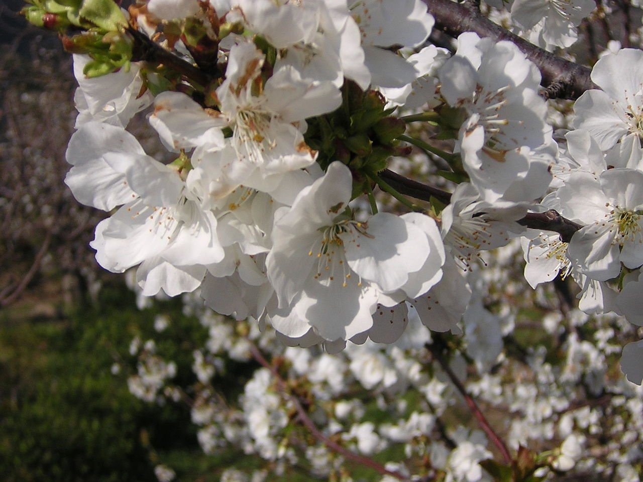 Alquiler de furgoneta en plasencia y disfruta de estas vistas