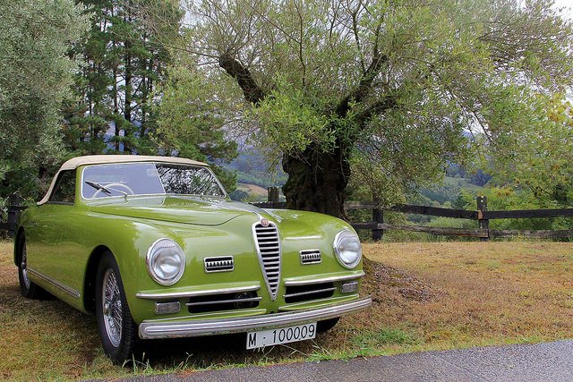 29775107220_588036d7e6_z