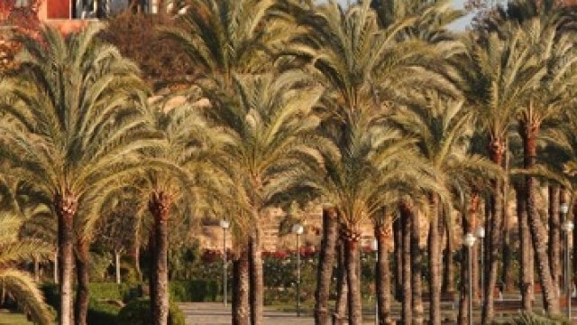 10 planes y viajes que hacer en Mallorca en invierno