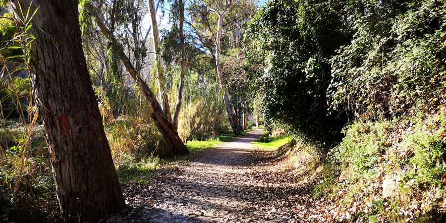 Ruta del agua de Chelva: Un paseo divertido y refrescante