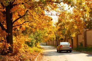 Viajar con niños en otoño: ¡Hora de disfrutar en familia!