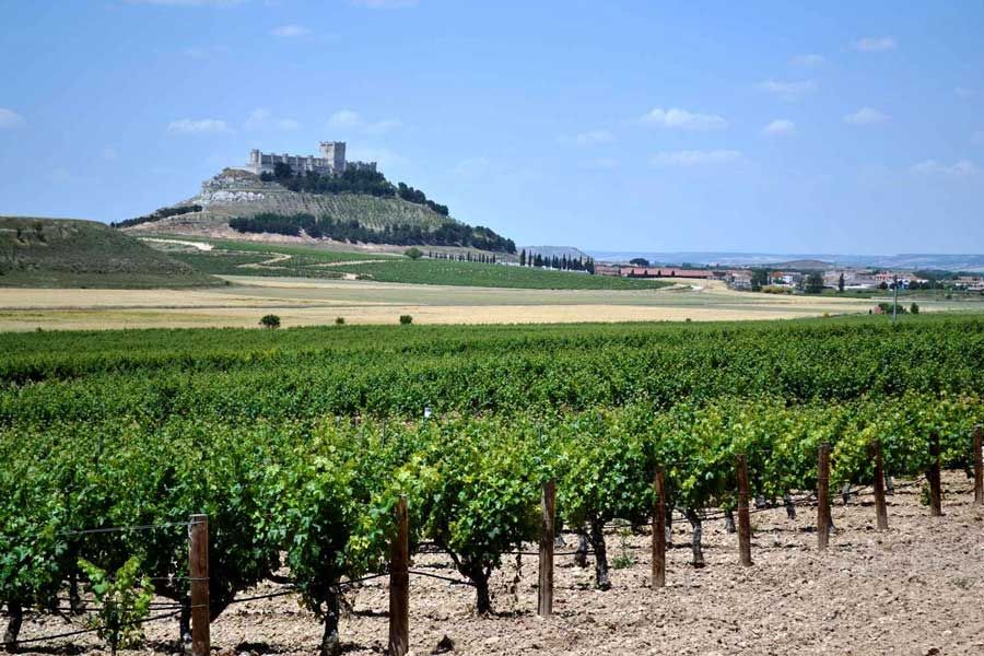 Ruta en coche por la Ribera de Duero: Historia y vinos