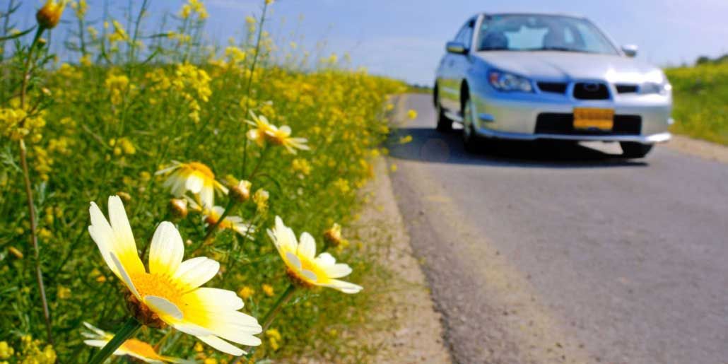 Consejos para cuidar el coche en primavera