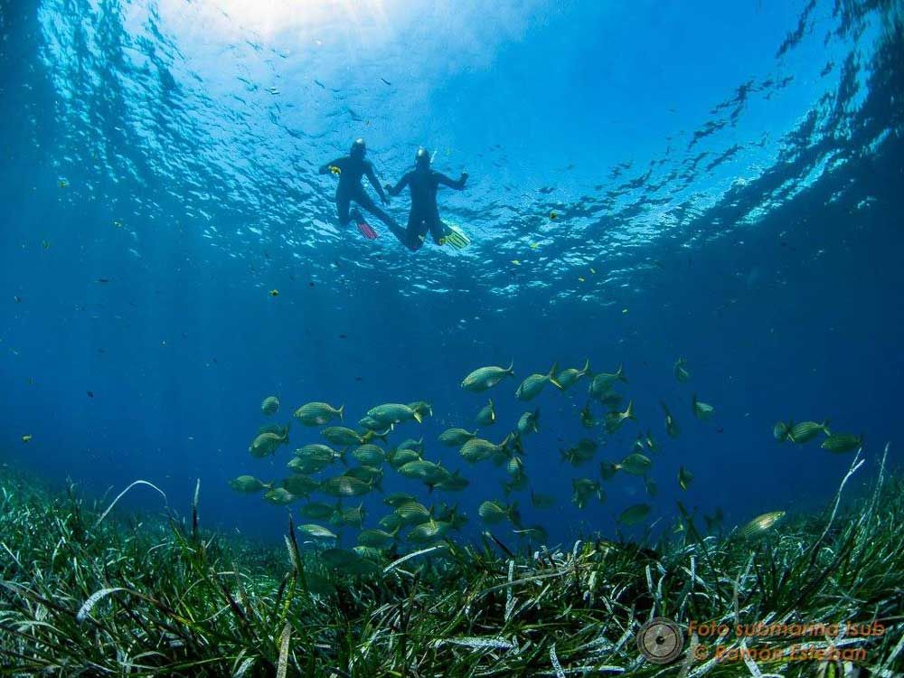 Descubre dónde bucear en España este verano: ¡Hora de sumergirse!