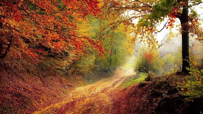 Parques naturales que visitar en otoño: ¡No te pierdas el paisaje!