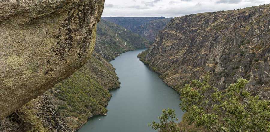 Ruta en coche por la senda del Duero: La belleza de los viñedos