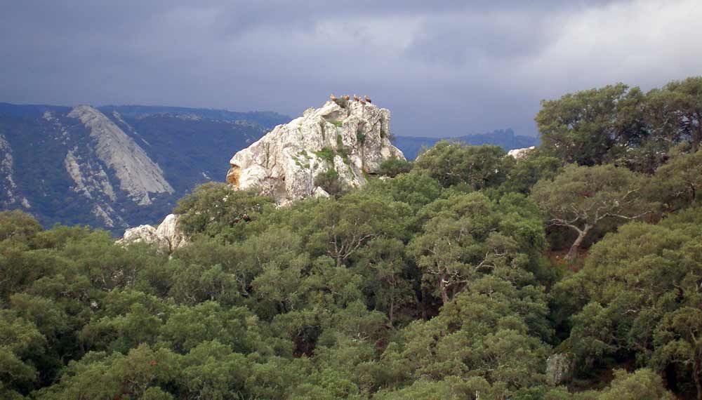 Parques Naturales de Andalucía: ¡Hay mucho que explorar!
