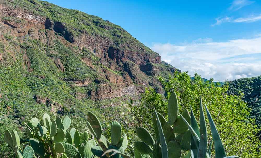 Qué ver en la isla de Gran Canaria: Una escapada sorprendente