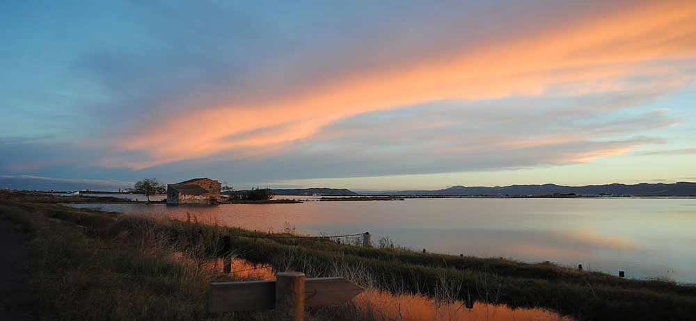 Qué ver en la Albufera de Valencia: Cielos llenos de vida y paseos en barca