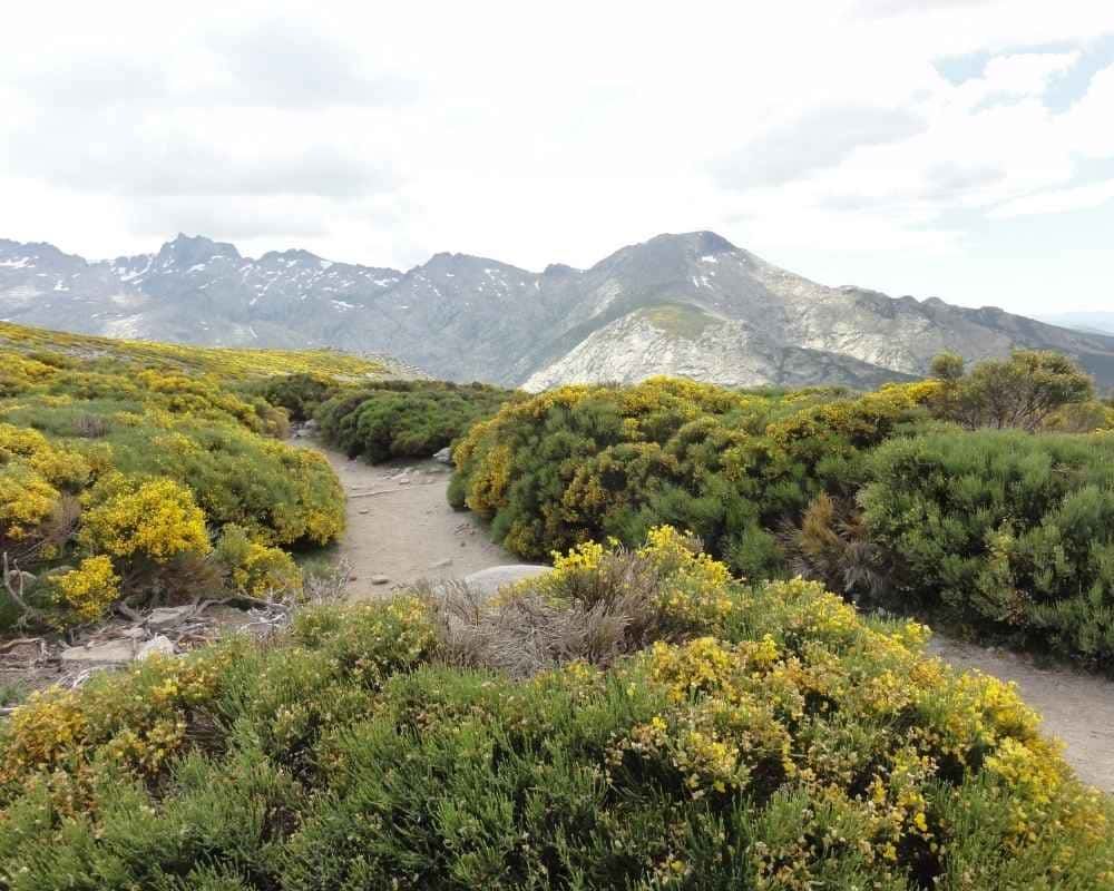 Piscinas naturales de la Sierra de Gredos: Báñate entre montañas
