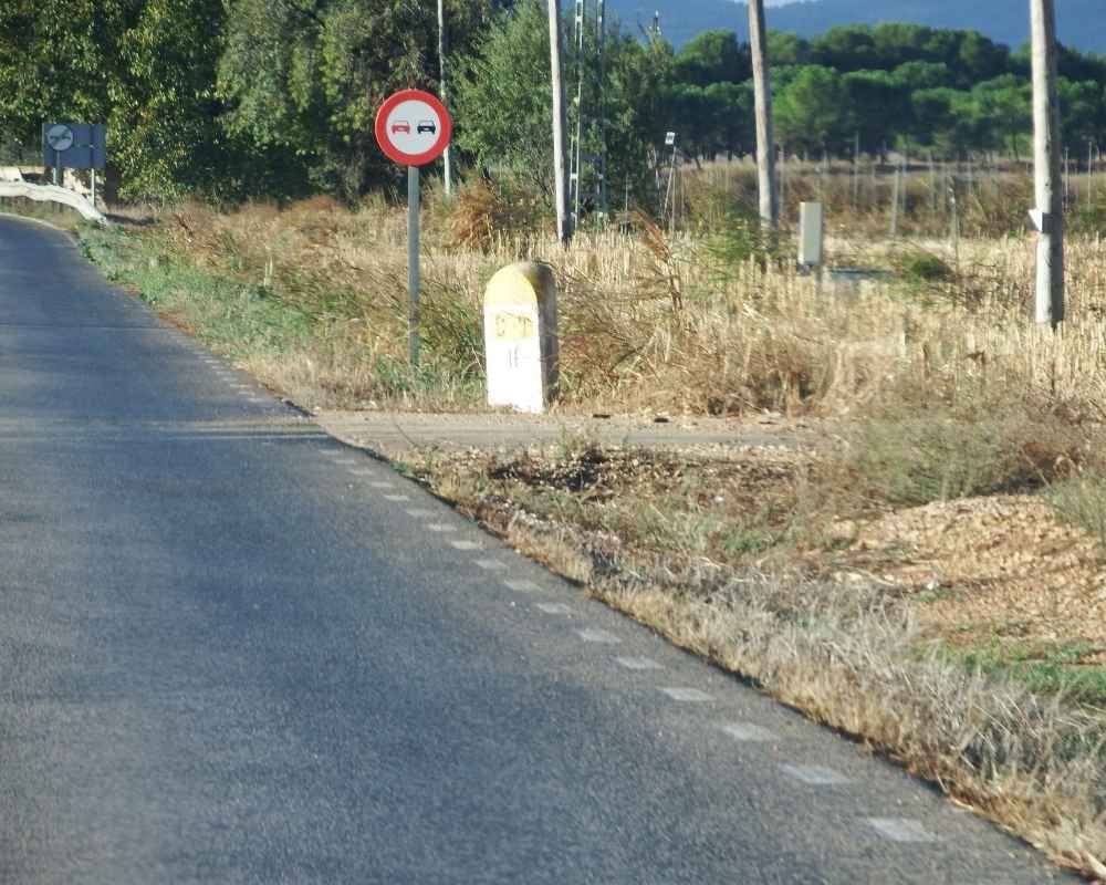 Conducir por carreteras secundarias en verano: ¡Mantén los ojos abiertos!