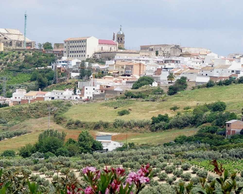 Ruta en coche por la campiña cordobesa: