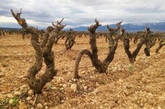 La Rioja Alquiler de coche en La Rioja