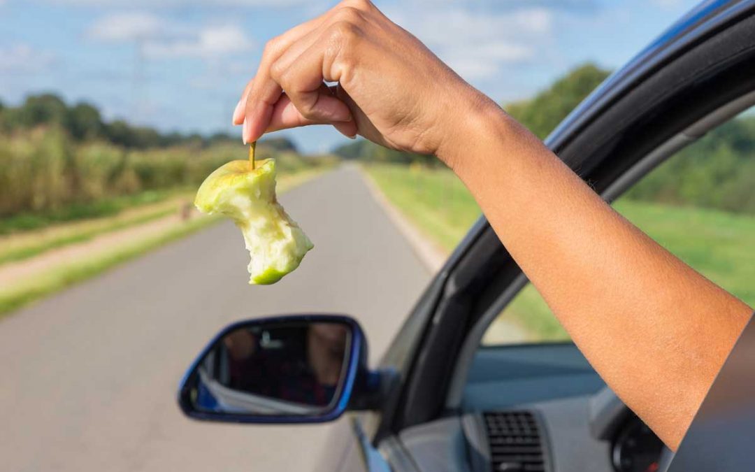 Arrojar basura desde el coche: ¡Ni se te ocurra hacerlo!